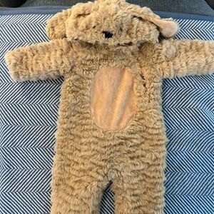 Pottery Barn Kids dog Costume